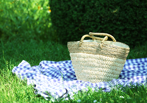 Korb auf Decke im Gras